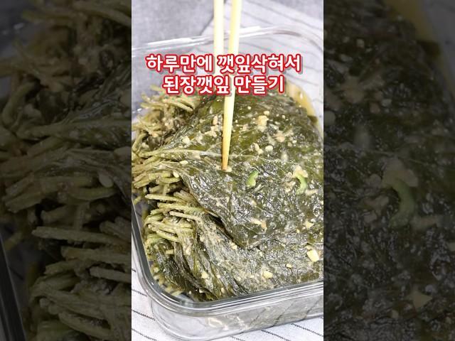 하루만에 깻잎삭히는법 삭힌깻잎 만들기 된장깻잎장아찌#깻잎장아찌#단풍깻잎