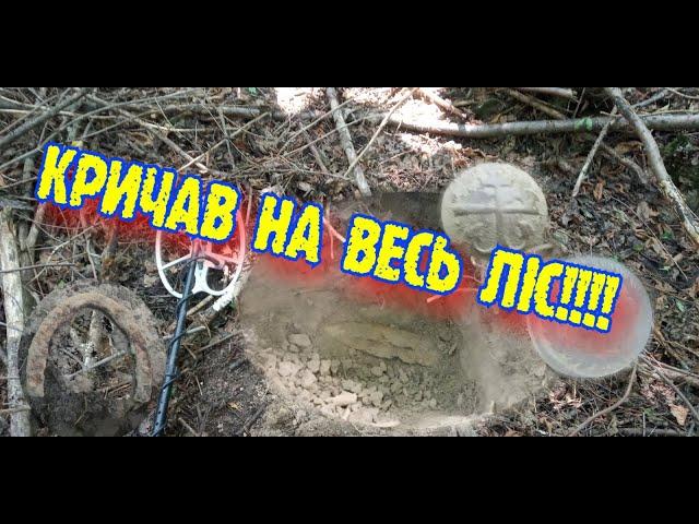 Кричав на весь ліс!Таке буває раз в житті!