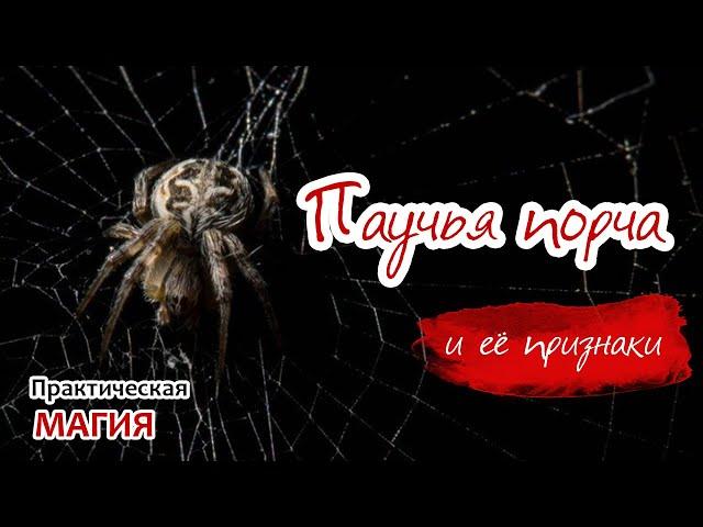 Паучья порча и её признаки