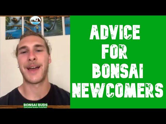 Don't Get Discouraged If Your Bonsai Dies! Advice for Newcomers From Apprentices - Bonsai Time 01