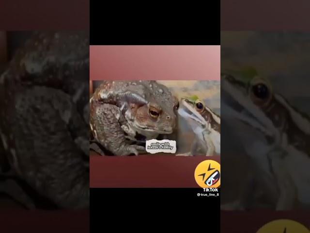 https://youtu.be/Y0E9w2Kg8UM