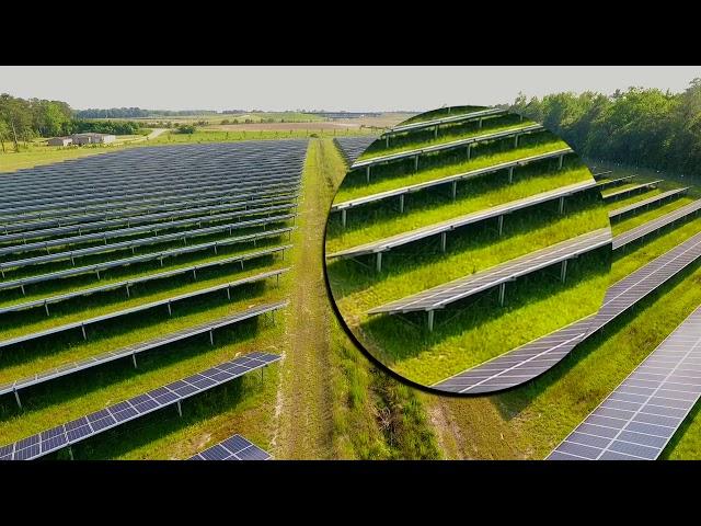 Solar Farm