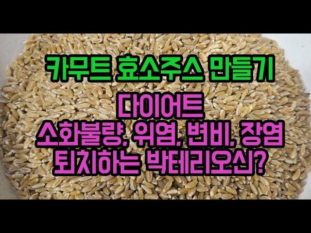 카무트 효소주스 만들기