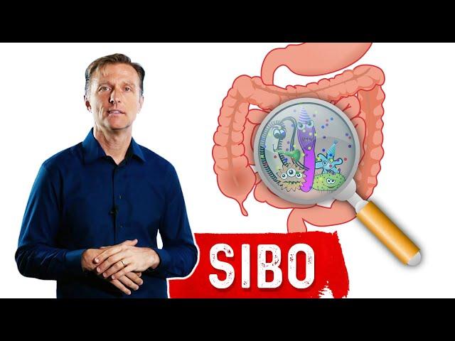 Small Intestinal Bacterial Overgrowth(SIBO) Steals Your Nutrients – Dr.Berg