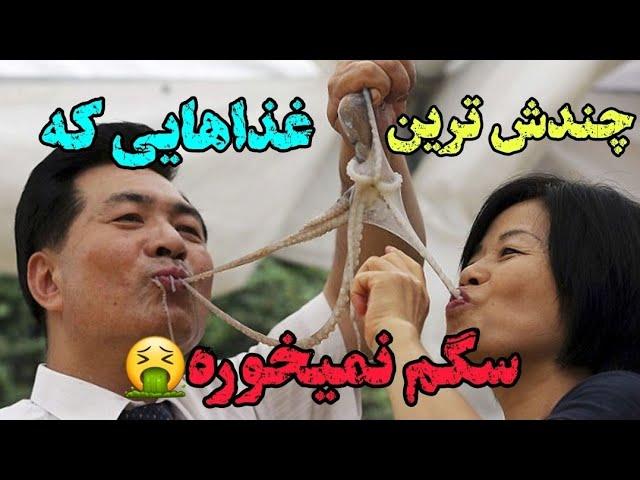 غذاهای چندش آور | 10 تا از چندش آورترین و حال بهم زن ترین غذاهای جهان #top10  #غذا