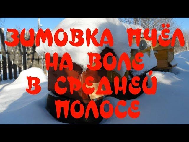 ВСЯ ПРАВДА О ЗИМОВКЕ ПЧЁЛ НА ВОЛЕ В СРЕДНЕЙ ПОЛОСЕ