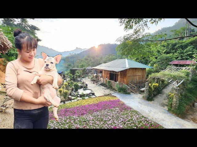 TIMELAPSE :200 days girl one builds farm life on wild island with dog lu and key