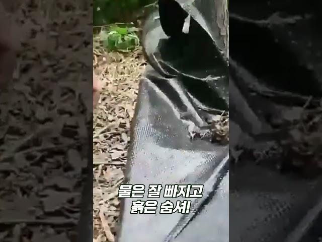 잡초 걱정 끝! 잡초제로제초매트 #shorts #atticolo