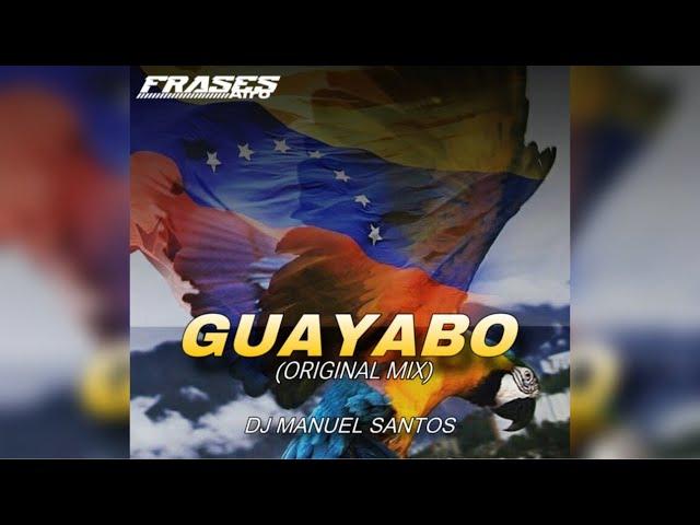 Guayabo Afro House - Dj Manuel Santos