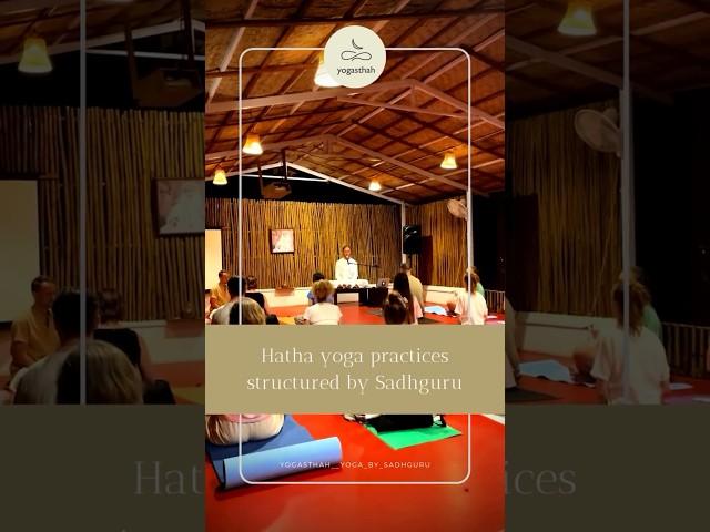 Transform Your Life: Yoga & Meditation Retreat in South Goa #sadhguru #yoga #goa