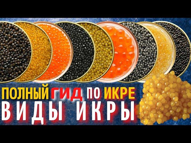 Полный Гид по Икре | Самая Вкусная Красная и Черная Икра