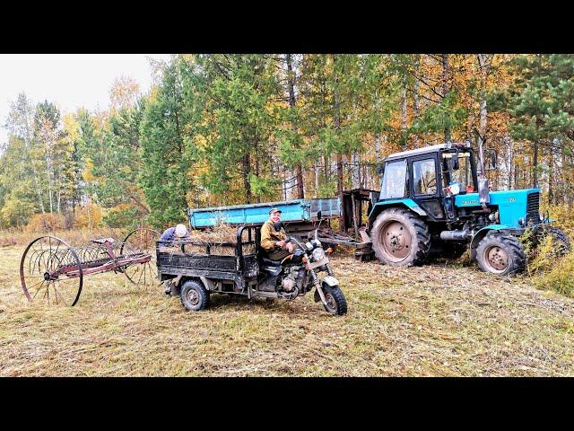 ОСЕННИЙ СЕНОКОС. СИБИРСКАЯ ГЛУБИНКА В ИРКУТСКОЙ ОБЛАСТИ.