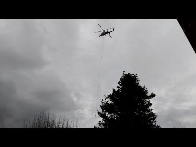 Helicopter arborist crew removing trees