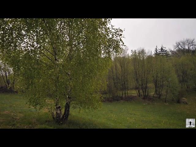  CANON IN D(Pachelbel) with RAIN // SOFT RAIN MUSIC