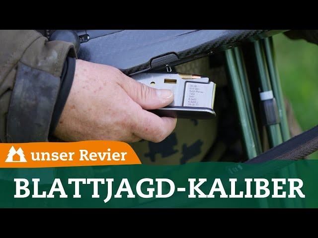 Blattjagdkaliber | Das sind die besten Patronen für die Jagd auf Brunftböcke | Bockjagd | Rehwild