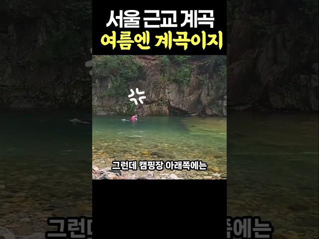 더운 여름에는 무조건 계곡이지 , 서울 근교 당일치기 최고의 계곡 #강원도계곡 #서울근교여행