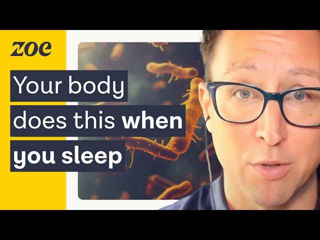 How to reduce overnight gut inflammation | Dr. Will Bulsiewicz & Prof. Tim Spector