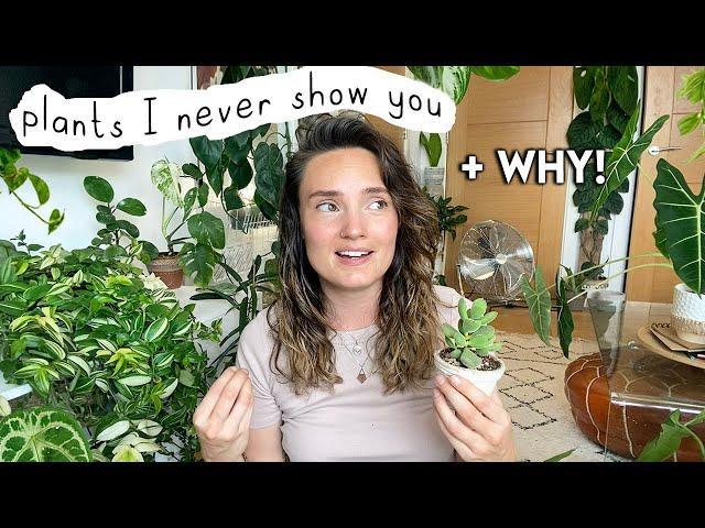 Houseplants I Don't Talk About + WHY  Plants I Never Show You