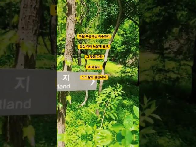길동생태공원의 봄 #강동구청 #강동구 #허브천문공원강동구 길동 생태공원 #국내여행 #강동구 #길동 #길동생태공원 #둔촌동프라자아파트 #올림픽파크포레온
