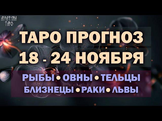 Таро прогноз c 18 по 24 ноября 2024 Рыбы Овны Тельцы Близнецы Раки Львы