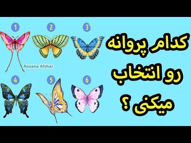 کدوم پروانه رو انتخاب میکنی ؟ تست تصویری و شخصیت شناسی