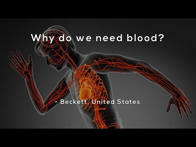 Why do we need blood?