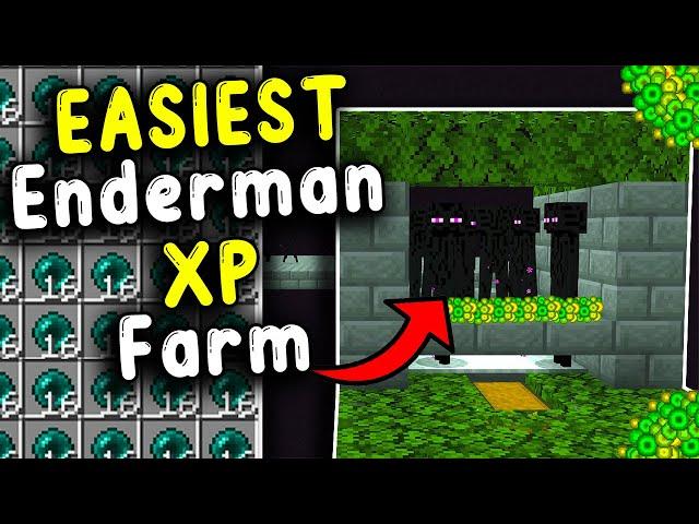 EASIEST Enderman XP Farm! Minecraft Bedrock 1.21!