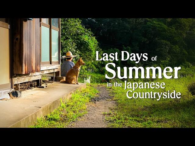 Spend the Last Days of Summer With Us in the Japanese Countryside | Boar Sightings & Firewood