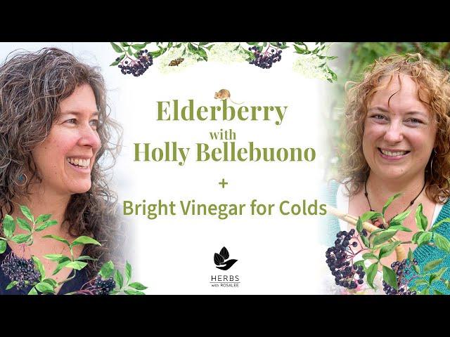 Elderberry with Holly Bellebuono + Bright Vinegar for Colds recipe