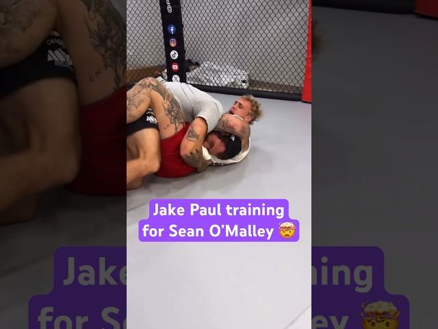 Jake Paul training for Sean O’Malley 