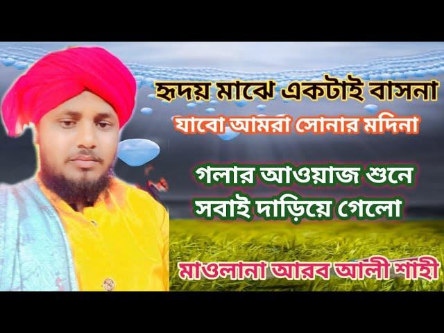 হৃদয়ের মাঝে একটাই বাসনা || যাবো আমি সোনার মদিনা || M.A Shahi Network