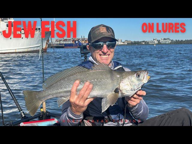 Jew and Estuary Perch - Woolooware Bay