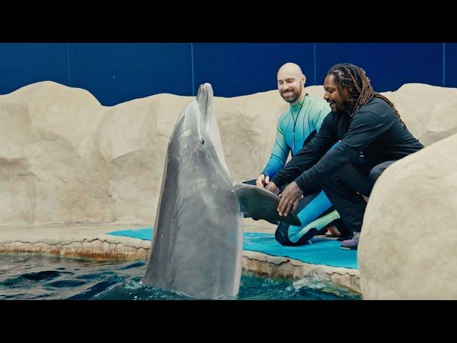 Marshawn Lynch Visits The Georgia Aquarium | 'N Yo' City | Prime Video