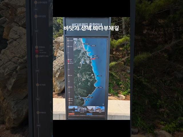 바다부채길 산책 만보걷기 당뇨관리 건강관리