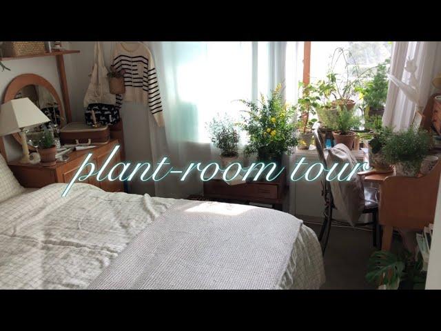 Bedroom plant tour_Indoor Air Purifying Plants