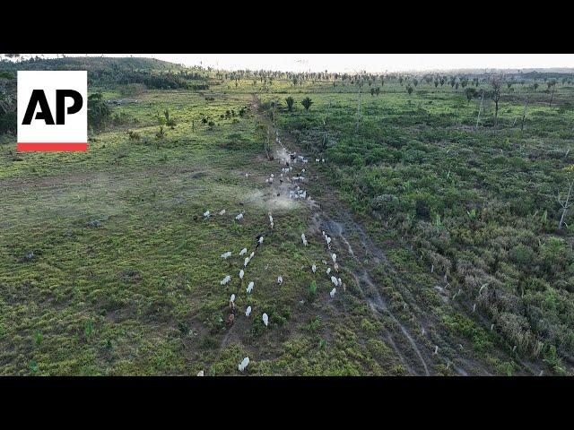 Brazil lawsuits link JBS SA to destruction of Amazon conservation unit