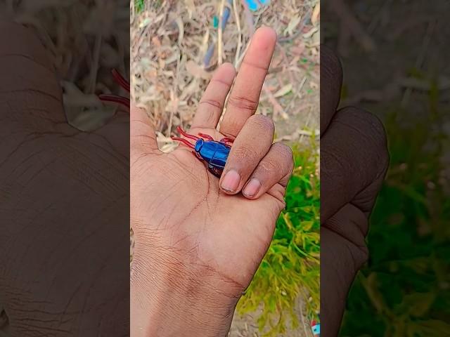 Introducing the "VitaWear SmartBand," a next-generation wearable gadget #shorts 