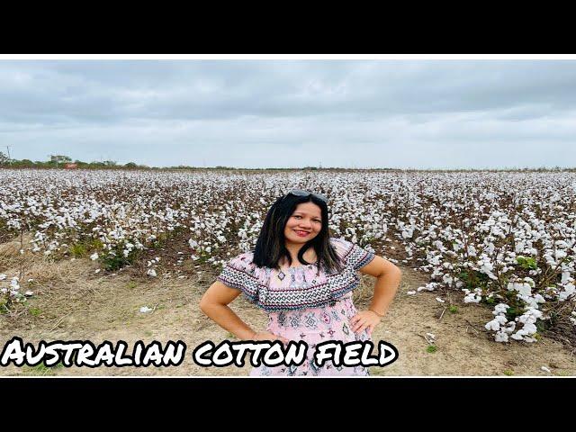 Visiting an Australian cotton field with Cindy/ Atherton Tablelands//Cheche Lañojan