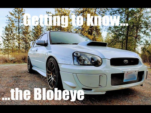 It's all about the Blobeye STI! - 2004 Subaru WRX STI