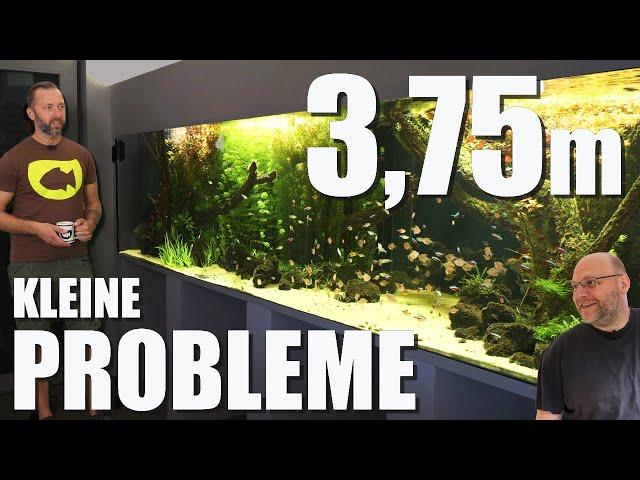 Massives Pflanzenwachstum, Pinselalgen und Cyanos - Update von Jochens 3600 Liter Süßwasseraquarium