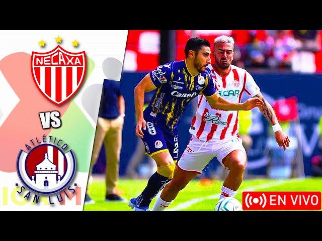 Necaxa vs Atlético San Luis en vivo - LIGA MX-APERTURA Jornada 16