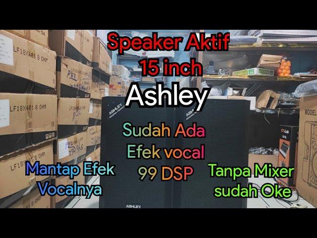 Speaker Aktif Ashley ACT 600 Pro