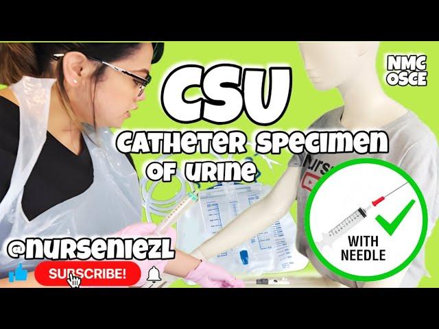 Catheter Specimen of Urine (CSU) with Needle : NMC OSCE   #nurseniezl #niezl2023 #jenuinehappiniz