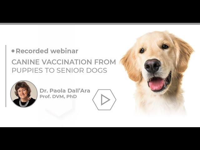 TR Biogal Academy | Dr Paola Dall"Ara Canine Vaccination from Puppies to Senior Dogs