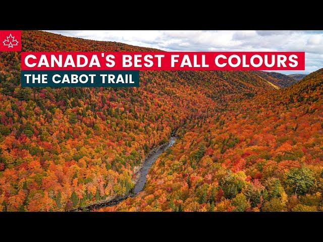 SPECTACULAR FALL COLOURS on the CABOT TRAIL! (Nova Scotia Autumn Road Trip)