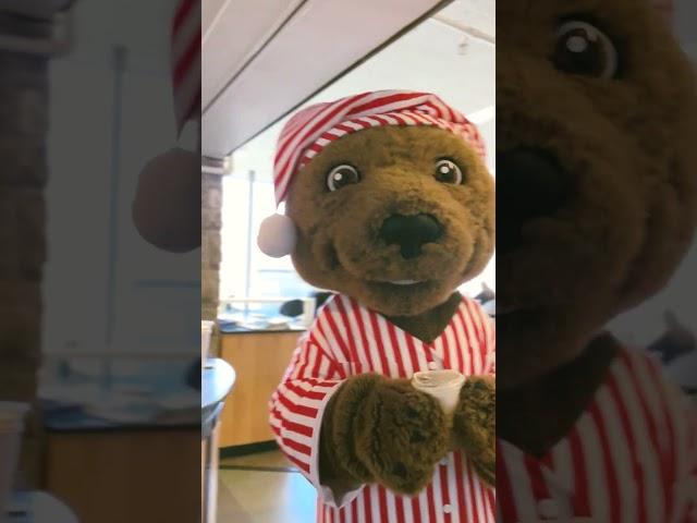 Touchdown Awakens: From Hibernation to Spring Mischief at Cornell