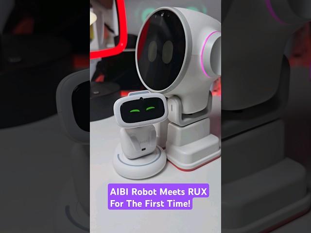 Introducing Aibi Robot to RUX Robot  #Shorts