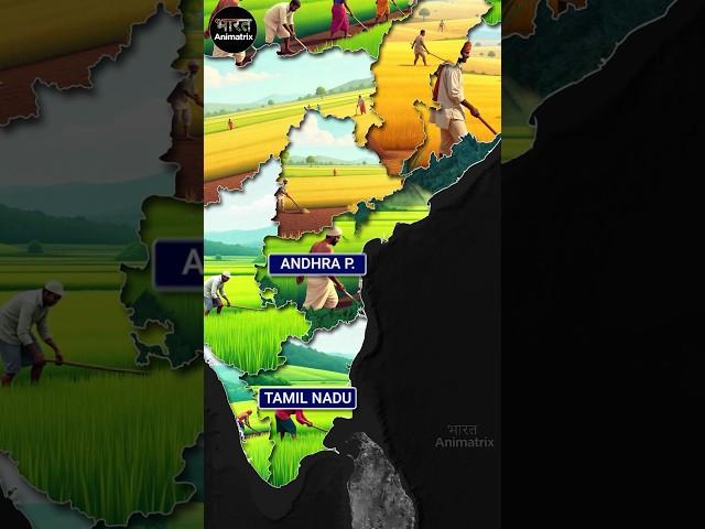 India’s Top Farming States: Who Leads? #agriculture #indianstate #india #farming