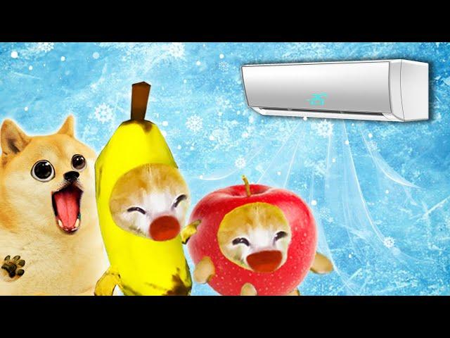 Air Conditioner Madness: Banana Cat's Frosty Fiasco!  Baby Banana Cat Compilation | Cat MEME 