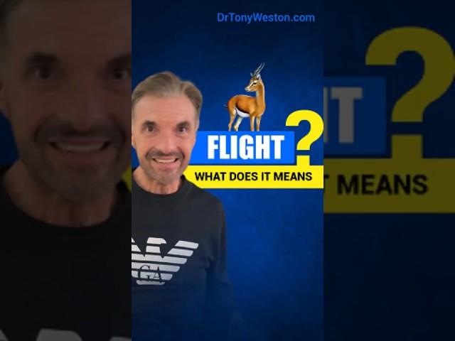 Understanding the Flight Response | Gazelle | I've Been Triggered | Dr Tony Weston